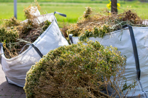 Best Shed Removal  in Bruce, MS